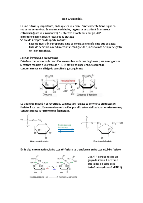 Miniatura del documento Tema-6.pdf