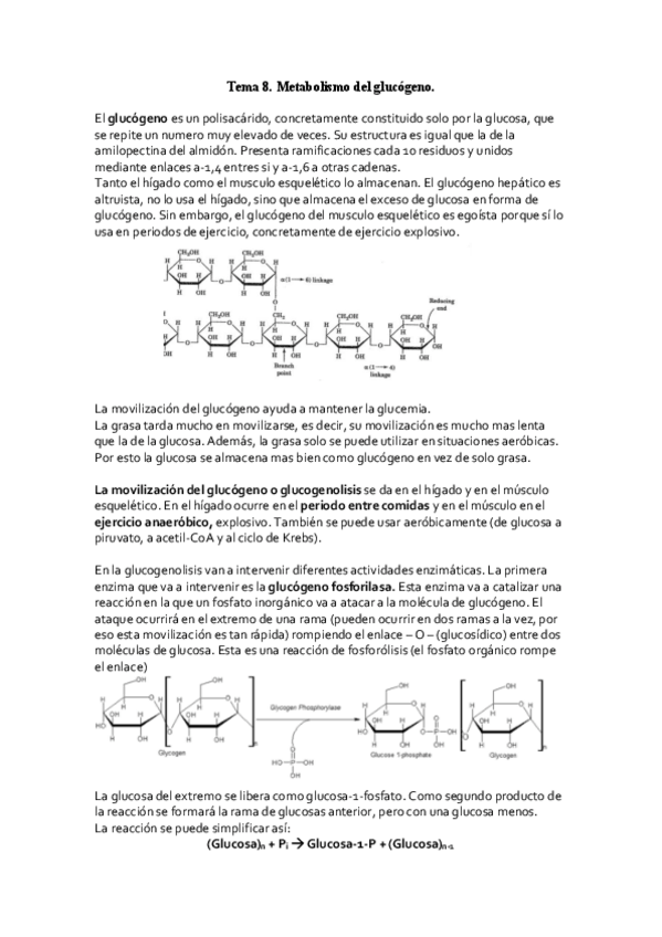 Miniatura del documento Tema-8.pdf