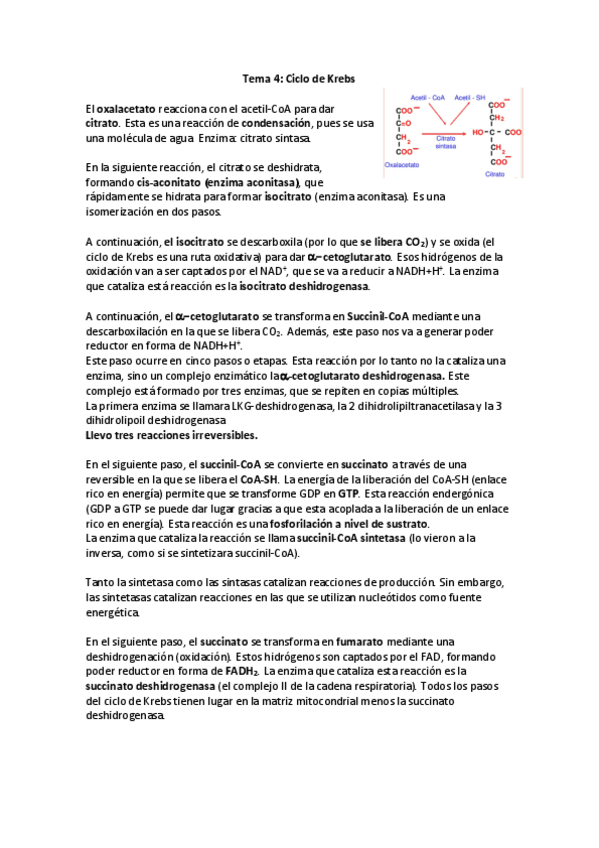 Miniatura del documento Tema-4.pdf