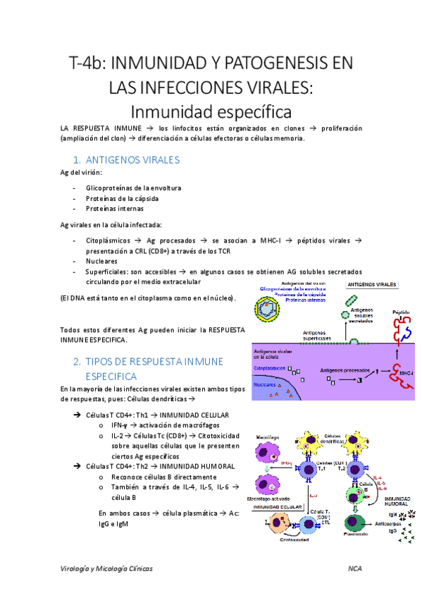 Miniatura del documento 4b. Inmunidad especifica.pdf