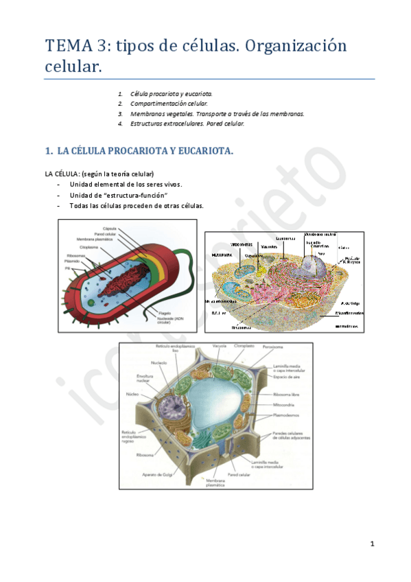 Miniatura del documento Tema 3.pdf