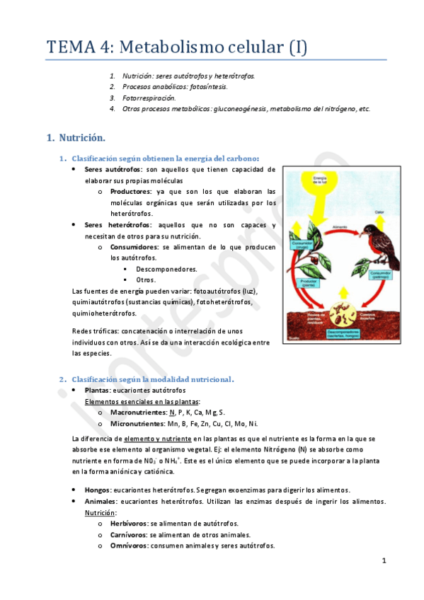 Miniatura del documento Tema 4.pdf