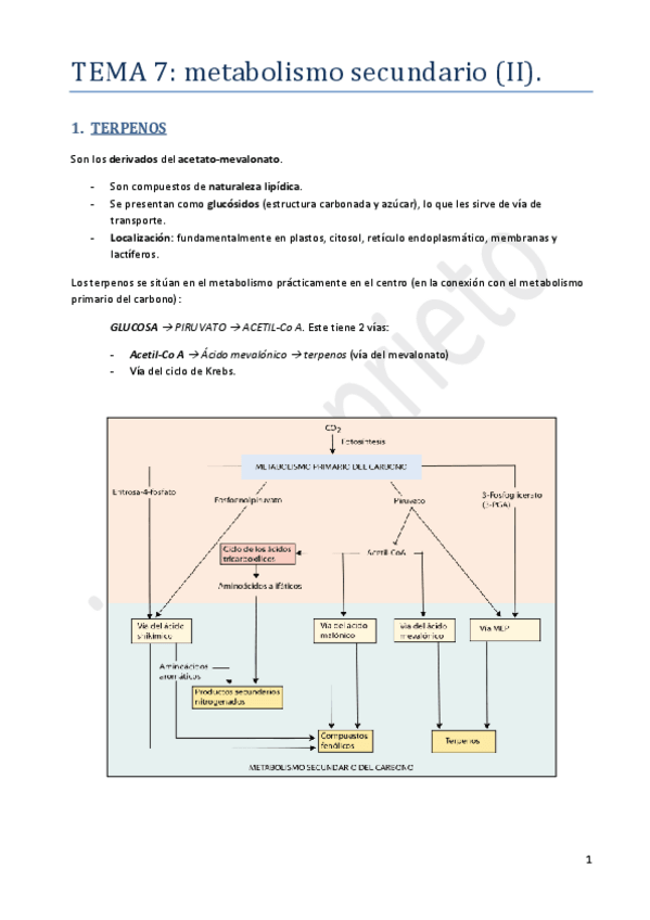 Miniatura del documento Tema 7.pdf