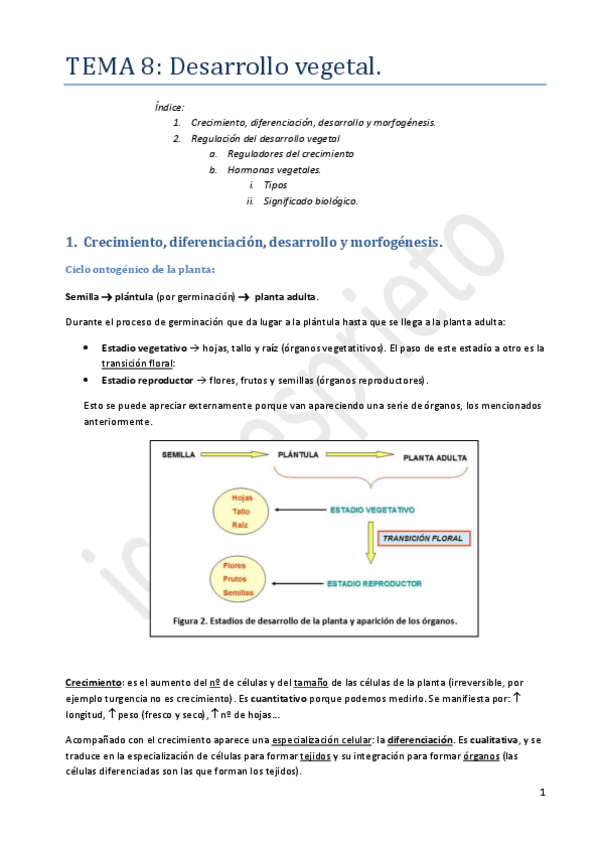 Miniatura del documento Tema 8.pdf