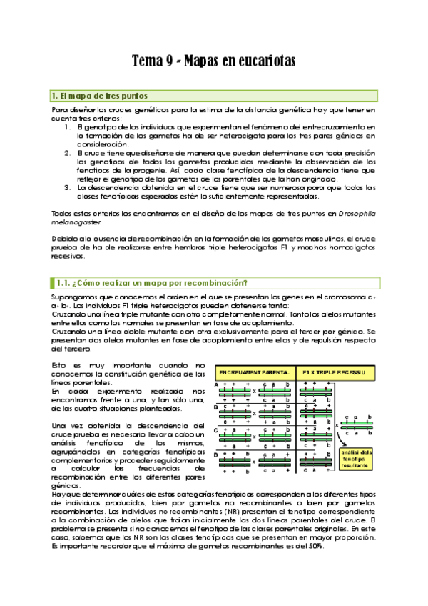 Miniatura del documento Tema-9-Mapas-en-eucariotas.pdf