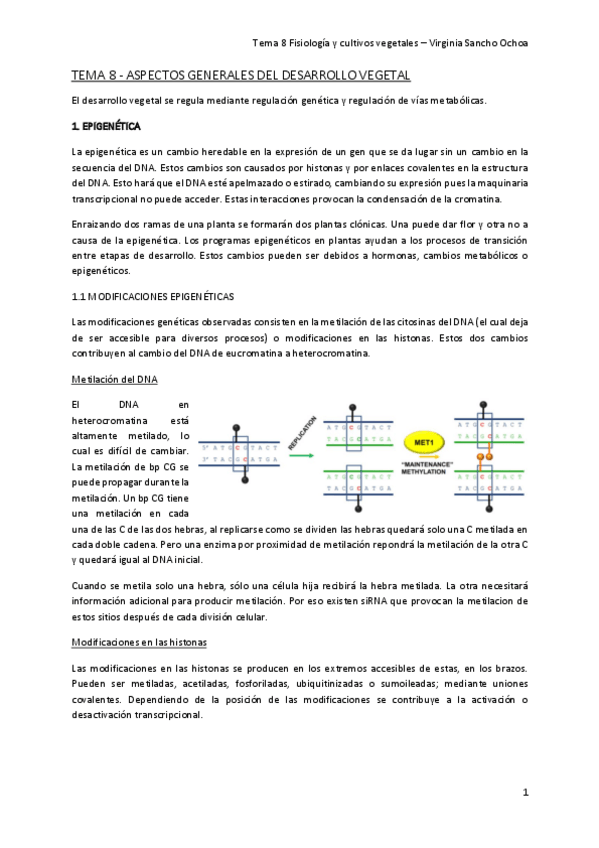 Miniatura del documento TEMA-8.pdf