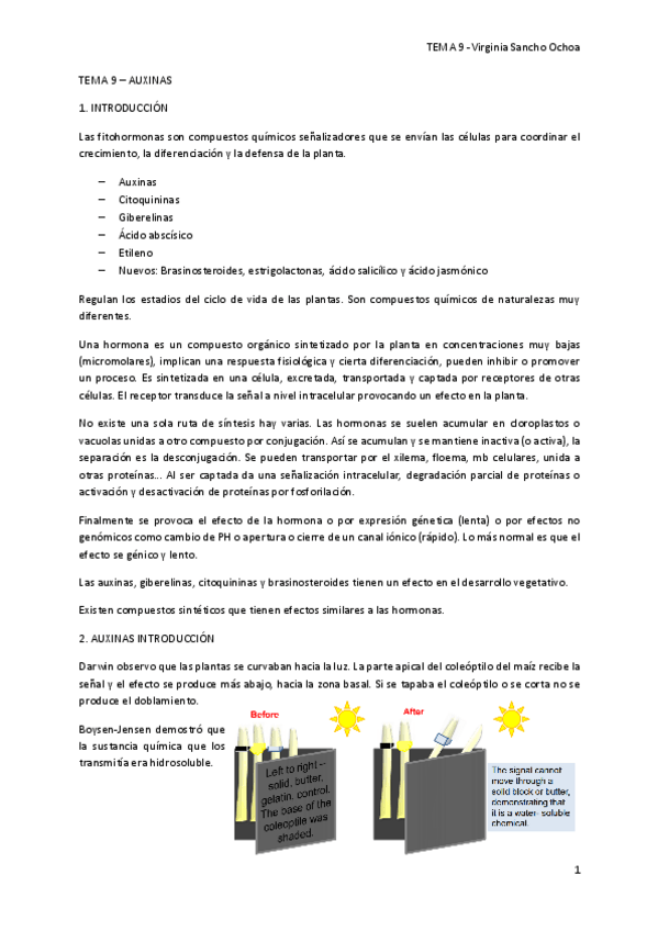 Miniatura del documento TEMA-9.pdf