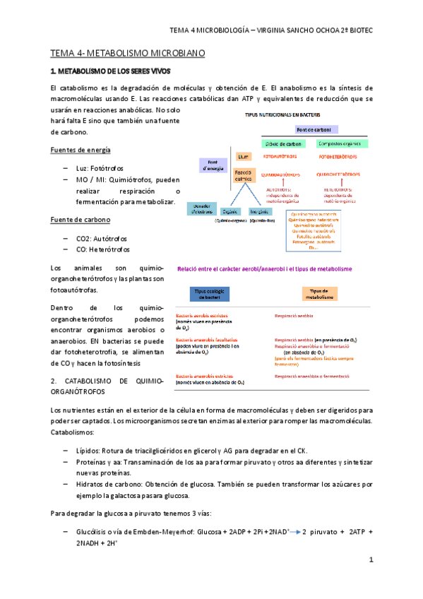 Miniatura del documento TEMA-4.pdf