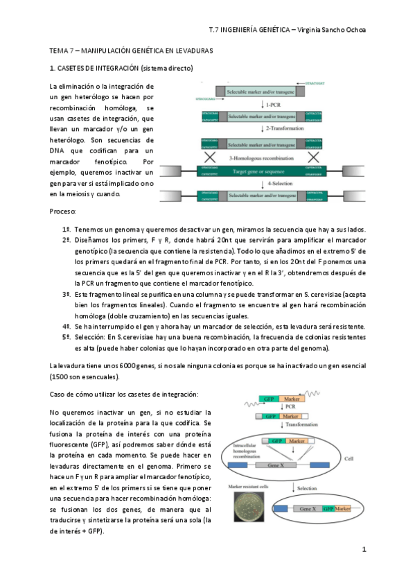 Miniatura del documento TEMA-7.pdf
