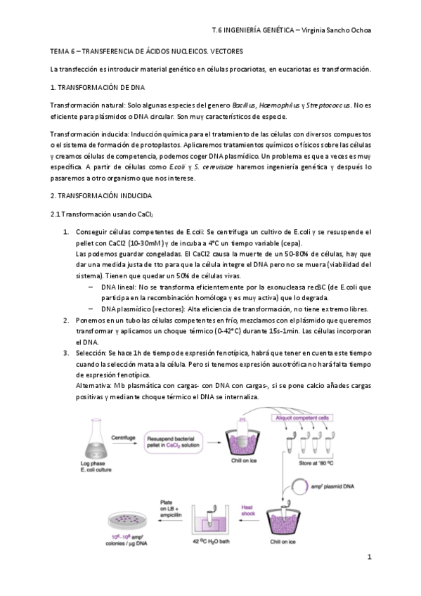 Miniatura del documento TEMA-6.pdf