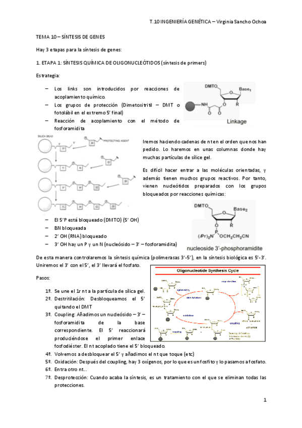 Miniatura del documento TEMA-10.pdf