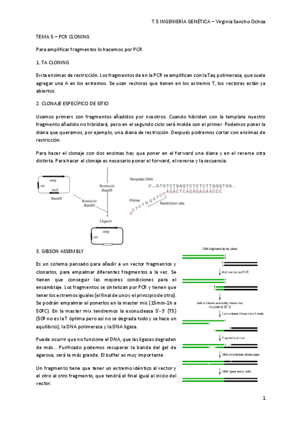 Miniatura del documento TEMA-5.pdf