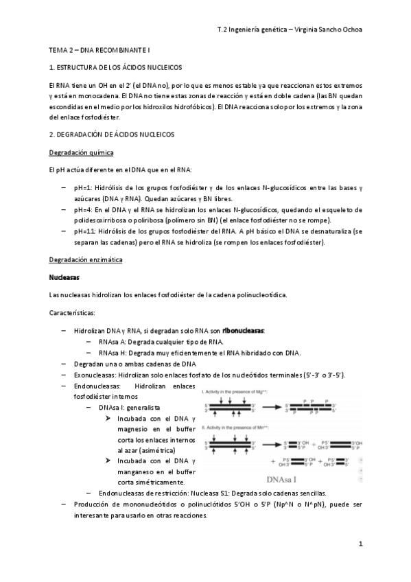 Miniatura del documento TEMA-2.pdf