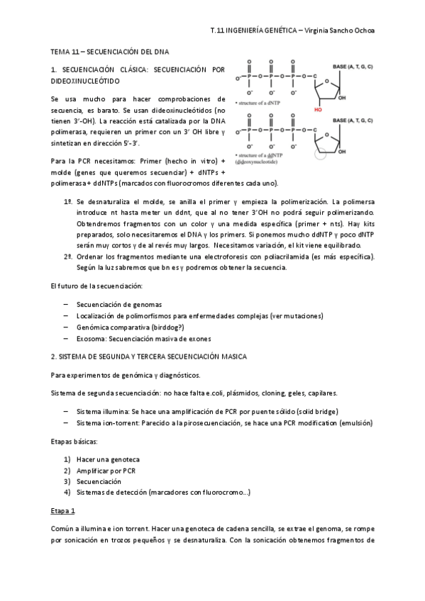 Miniatura del documento TEMA-11.pdf