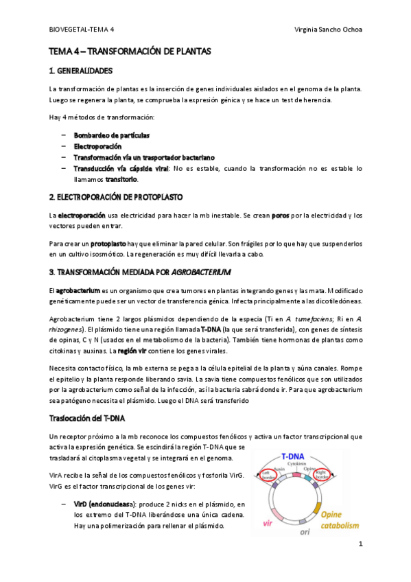 Miniatura del documento TEMA-4.pdf