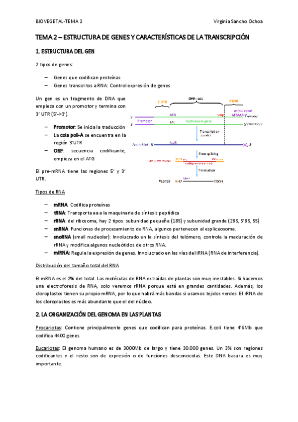 Miniatura del documento TEMA-2.pdf