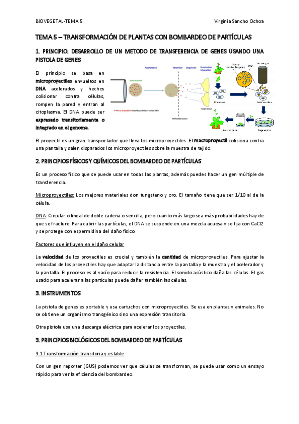 Miniatura del documento TEMA-5.pdf