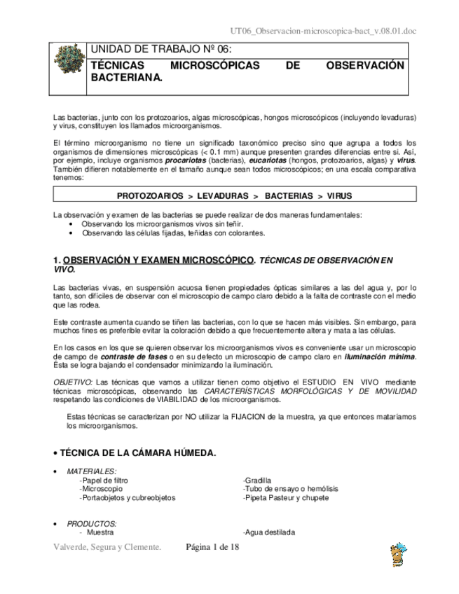Miniatura del documento UT06Observacion-microscopica-bactv.pdf