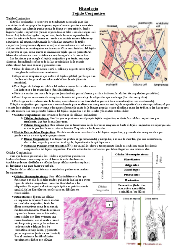Miniatura del documento Tema-23.pdf