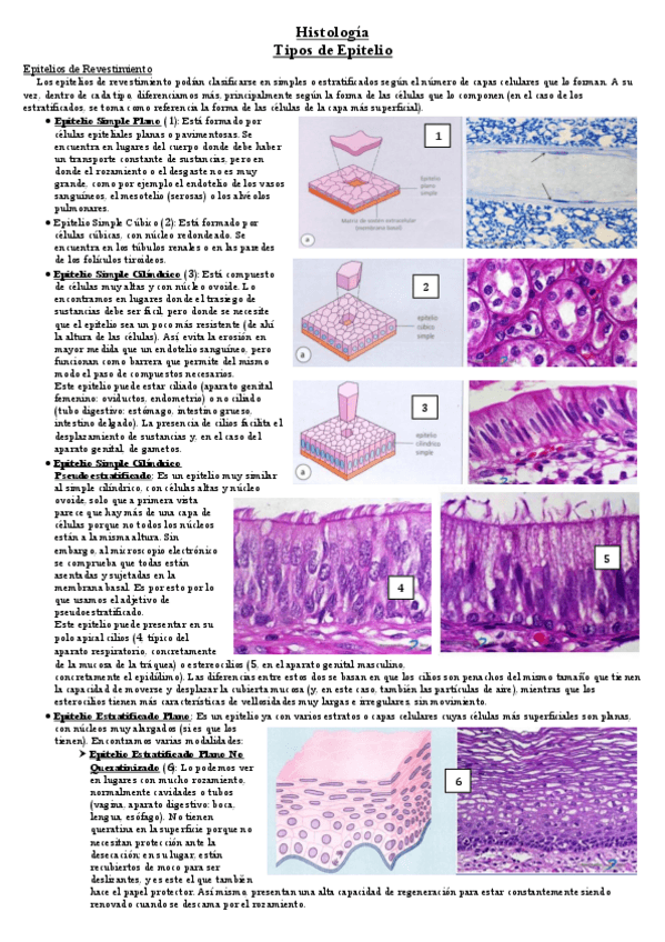 Miniatura del documento Tema-22.pdf