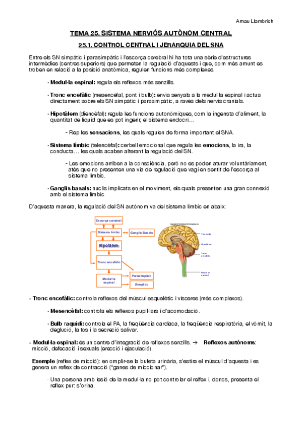 Miniatura del documento Apunts-Fisiologia-i-Fisiopatologia-I-Tema-25.pdf