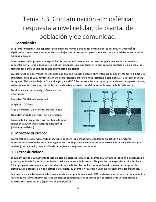 Miniatura del documento Tema-3.pdf