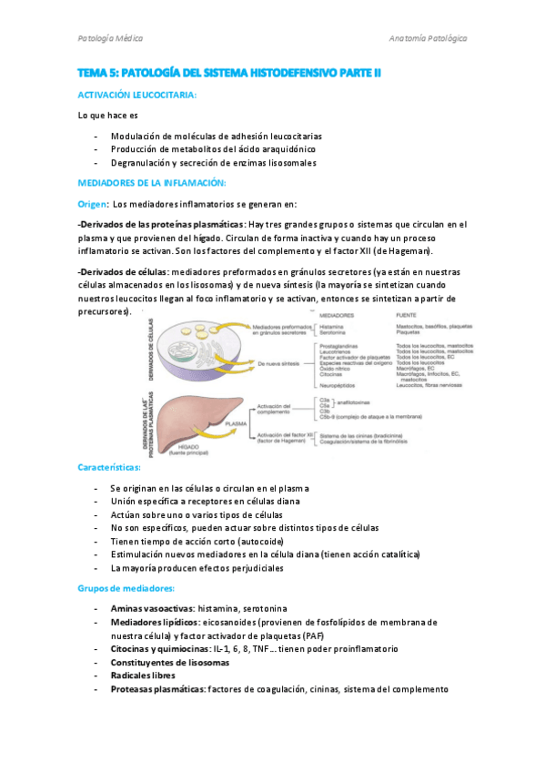 Miniatura del documento TEMA-5-parte-II.pdf