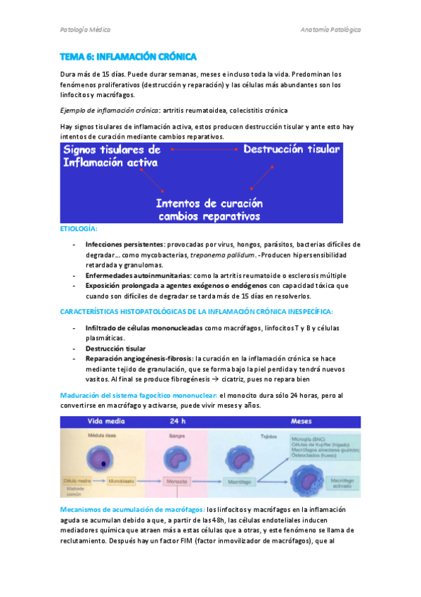 Miniatura del documento TEMA-6.pdf