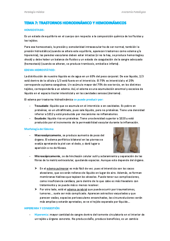 Miniatura del documento TEMA-7.pdf