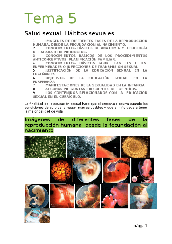 Miniatura del documento Tema-5.odt