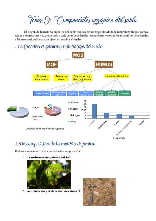 Miniatura del documento Tema-9.pdf