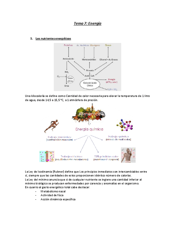 Miniatura del documento Resumenes-del-tema-7-al-11.pdf