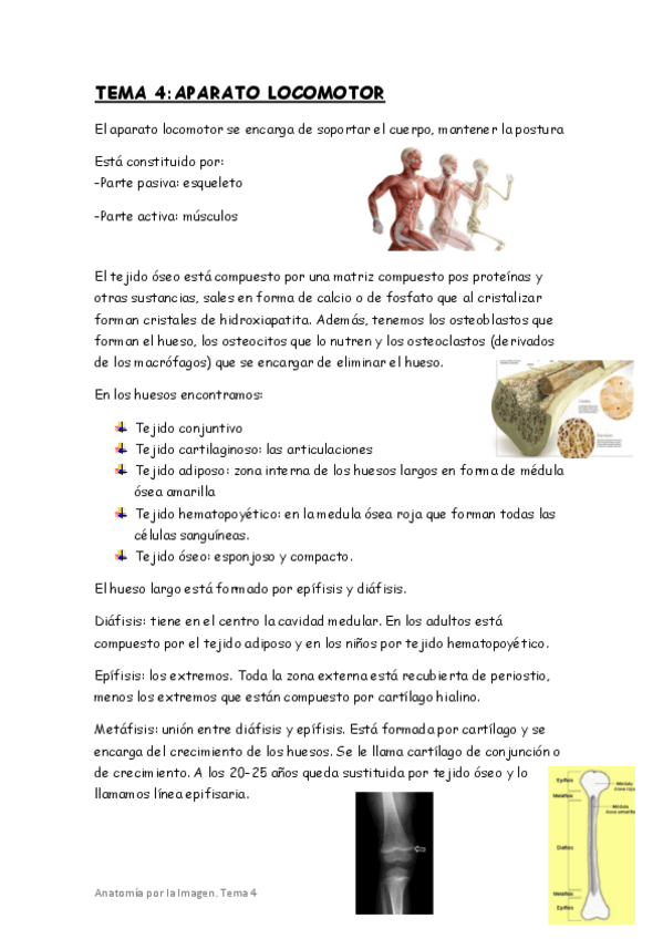 Miniatura del documento tema-4.pdf