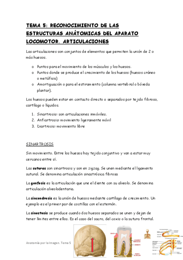 Miniatura del documento tema-5.pdf