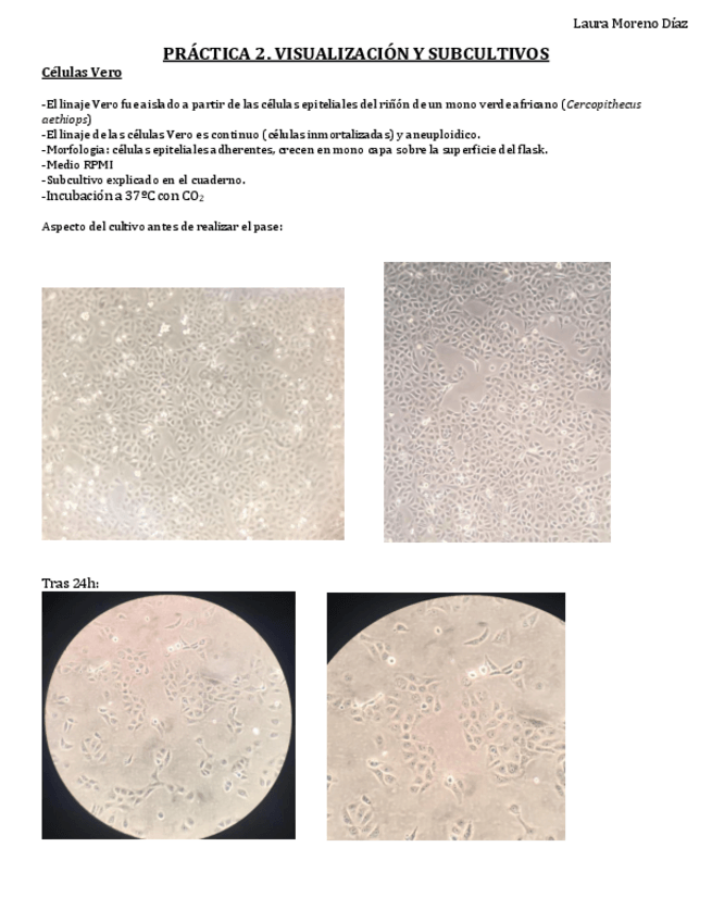 Miniatura del documento Bloque-celular.pdf
