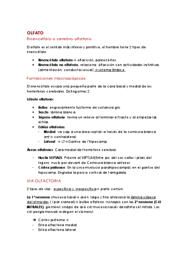Miniatura del documento OLFATO.pdf