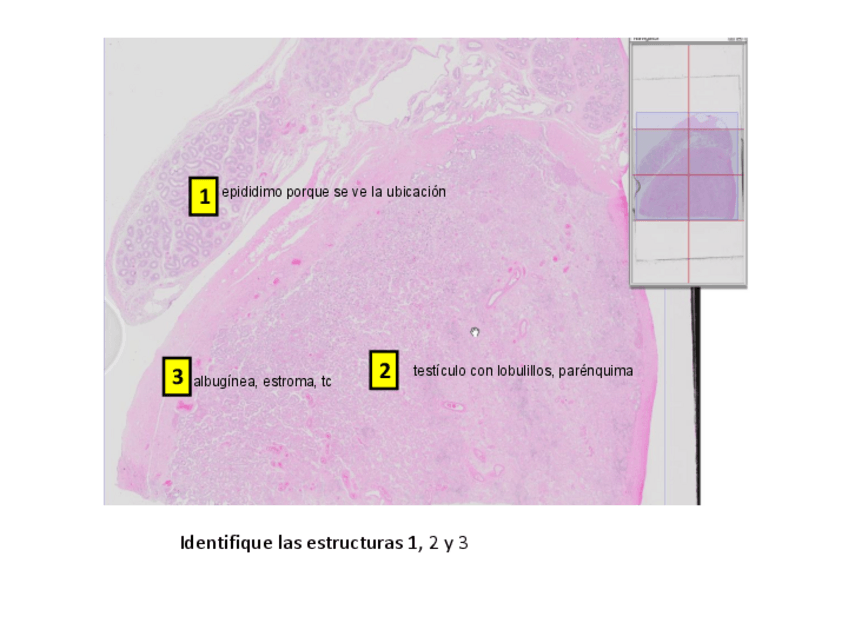 Miniatura del documento SEMINARIO-2-19-20.pdf