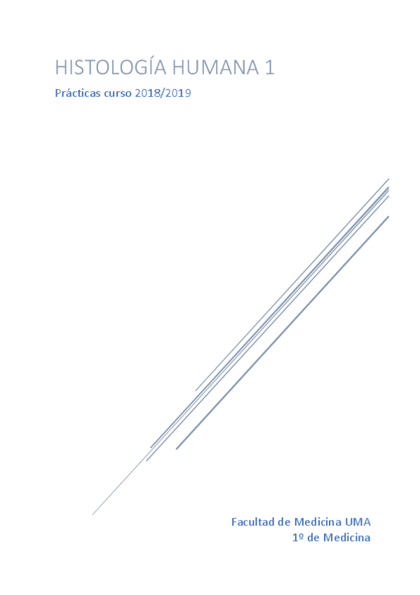 Miniatura del documento Practicas-Histologia.pdf