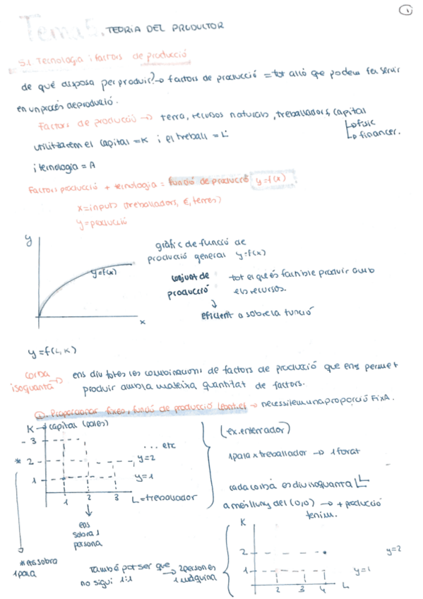 Miniatura del documento Tema-5-apunts-ex.pdf