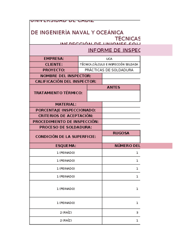 Miniatura del documento Plantilla-Tablas-Informes-Practicas.xlsx
