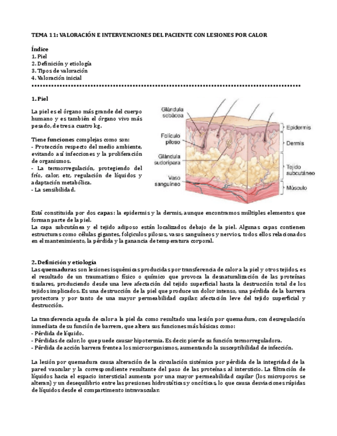 Miniatura del documento TEMA-11.pdf