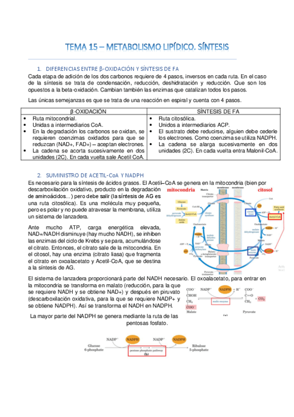 Miniatura del documento Tema-15.pdf