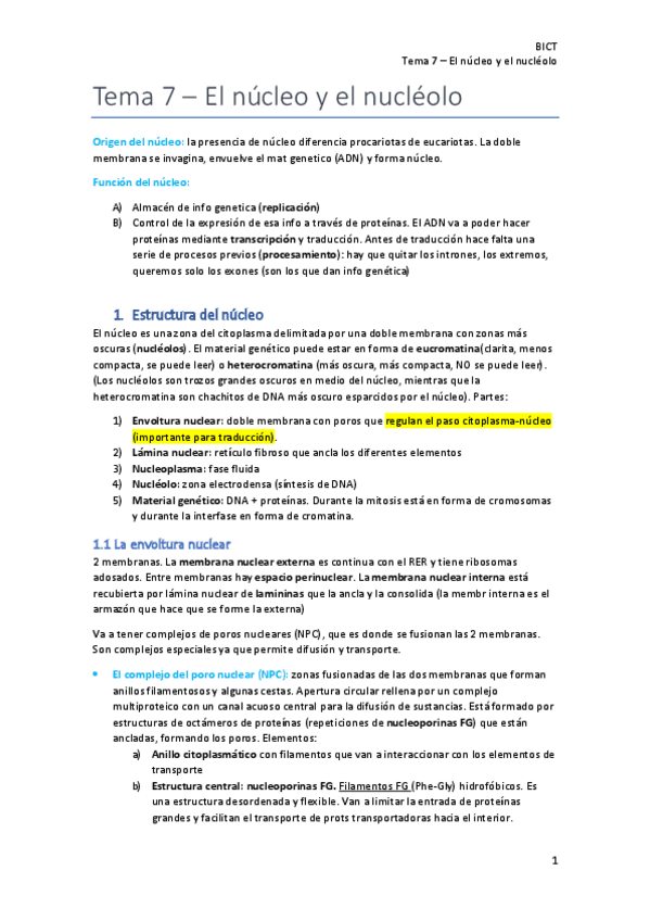 Miniatura del documento Tema-7-El-nucleo-y-el-nucleolo.pdf