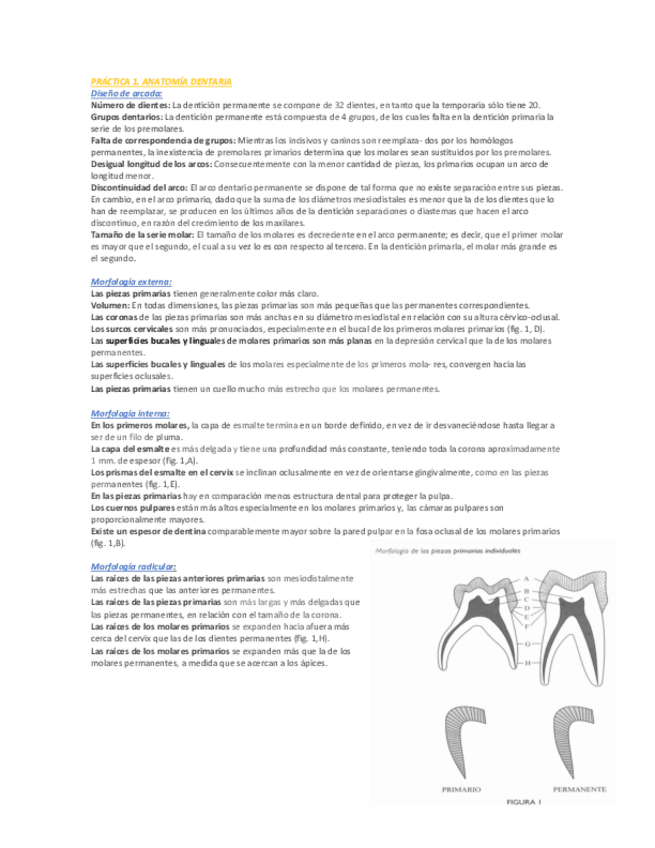 Miniatura del documento EXAMEN-PRACTICO-ODONTOPE.pdf