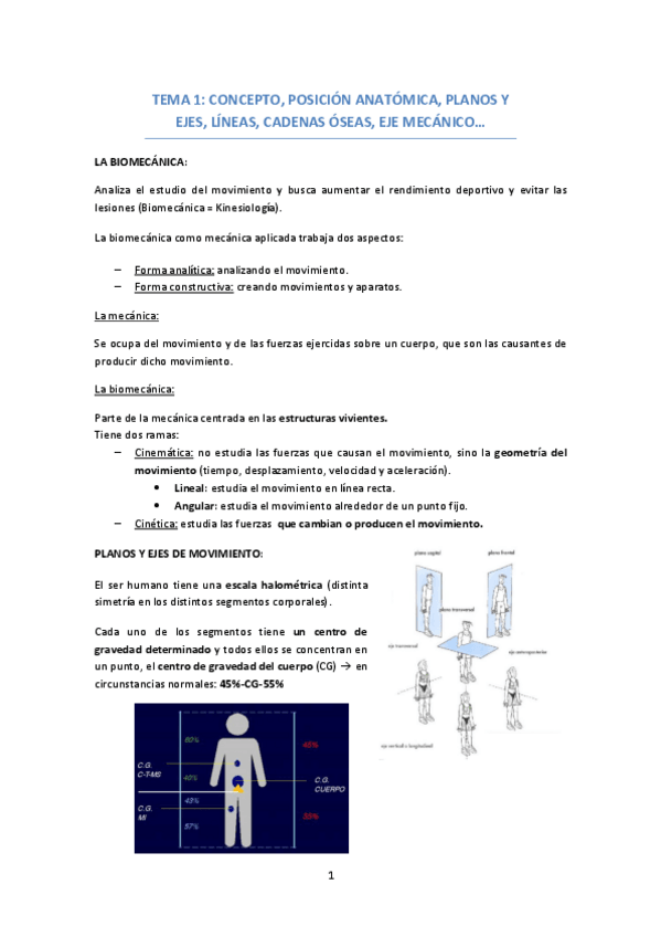 Miniatura del documento TEMA-1-CONCEPTO.pdf