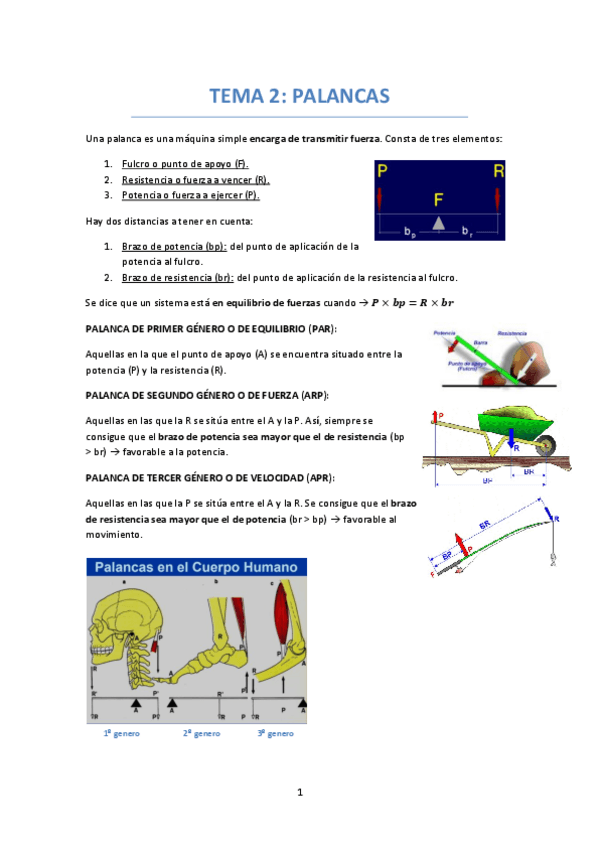 Miniatura del documento TEMA-2-PALANCAS.pdf
