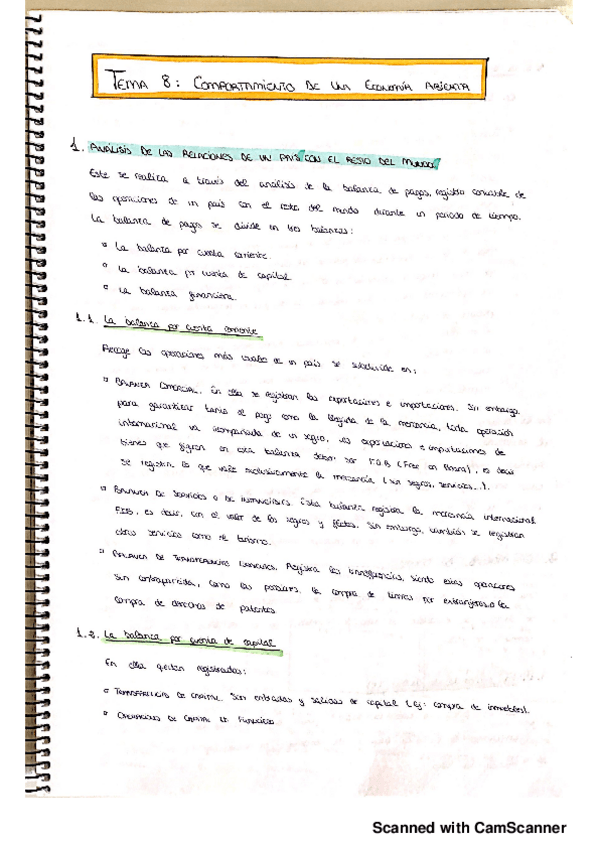 Miniatura del documento Tema-8-economia-politica-.pdf