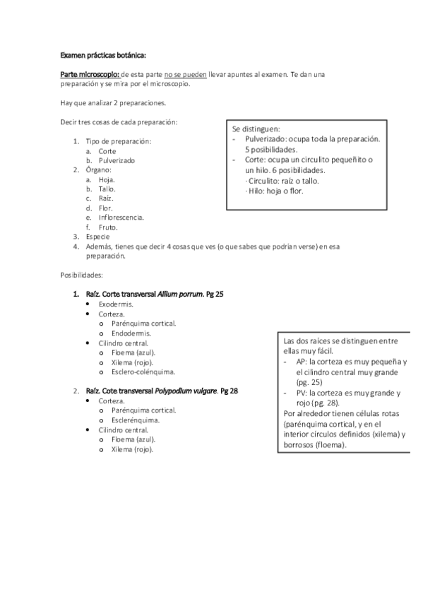 Miniatura del documento Practicas-II.pdf
