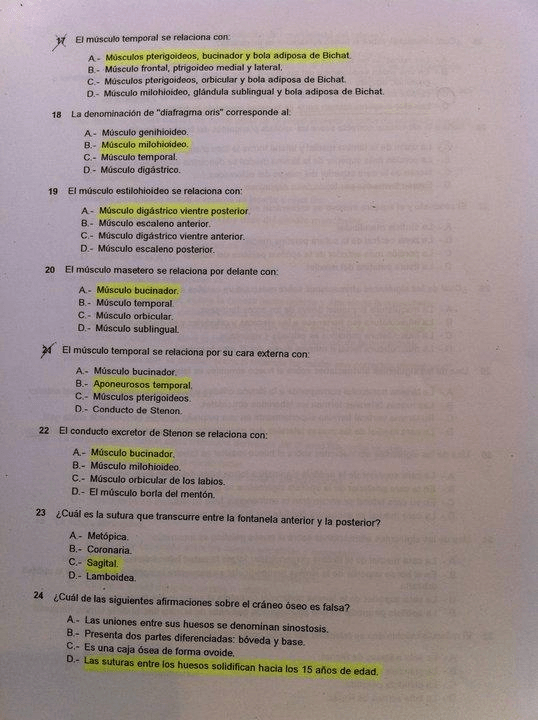 Miniatura del documento ANATO 4.jpg