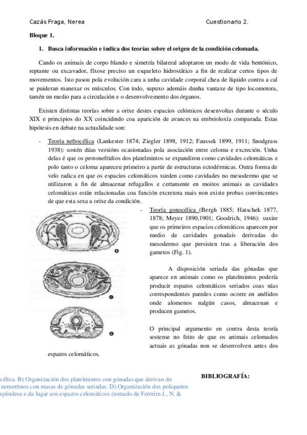 Miniatura del documento Cuestionario-2.docx